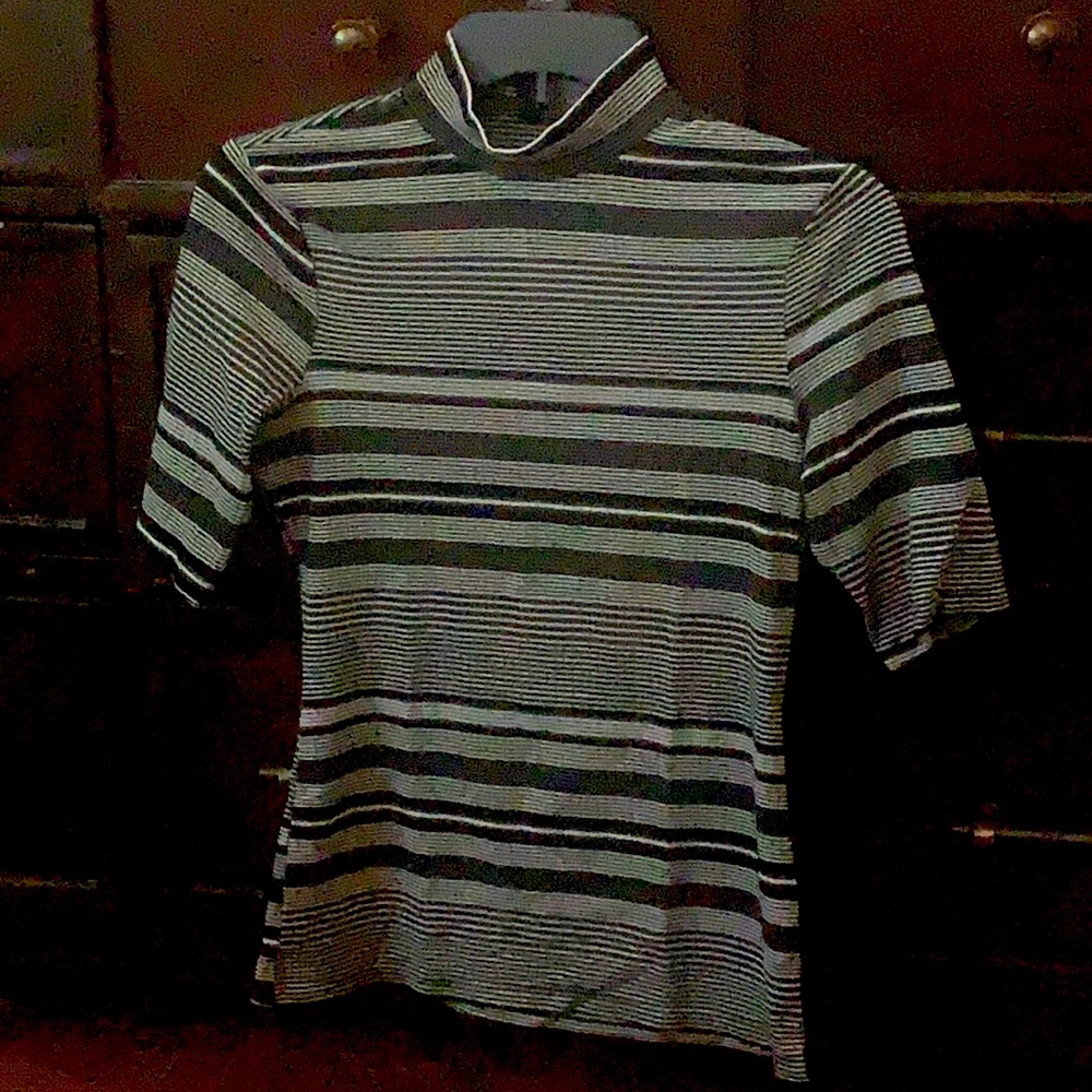 Shortsleeved turtleneck